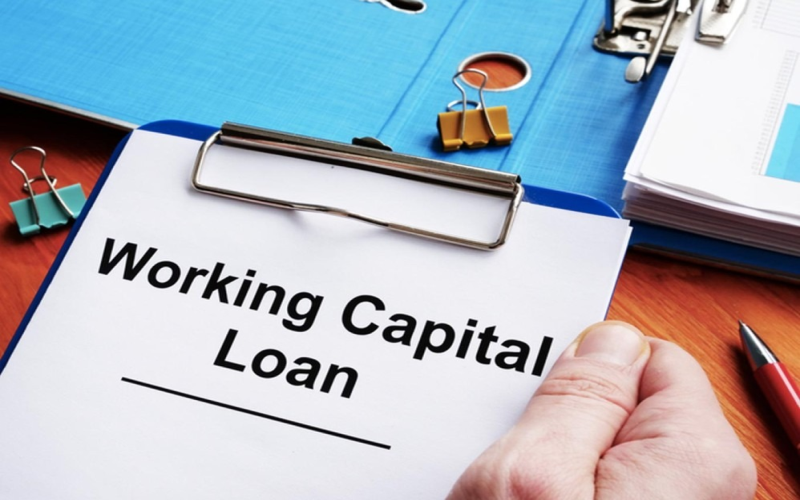 Key Insights on Understanding Working Capital Loan Eligibility Criteria